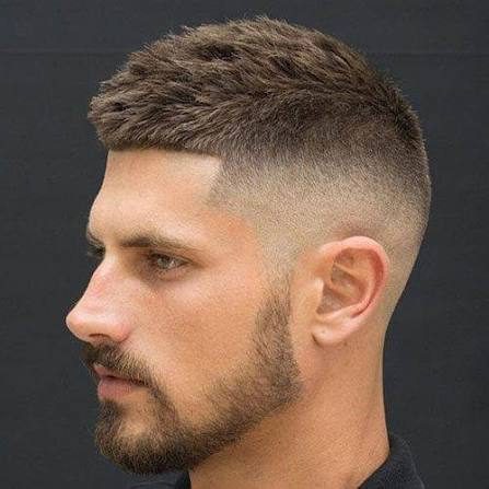 Crew cut #34